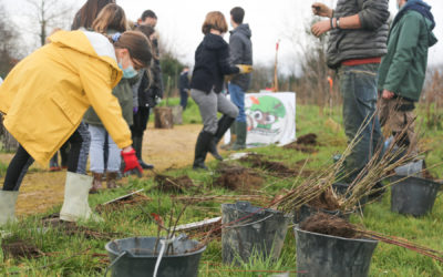 Sortie scolaire sur le thème de l’eau et de l’arbre en Béarn