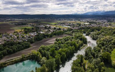 Planter des arbres pour préserver la qualité de l’eau potable