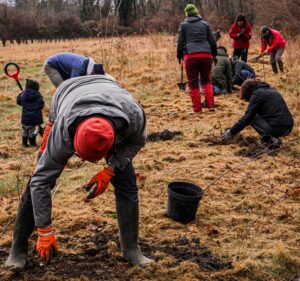 Plantation citoyenne du 8 février 2025 à Mirepeix